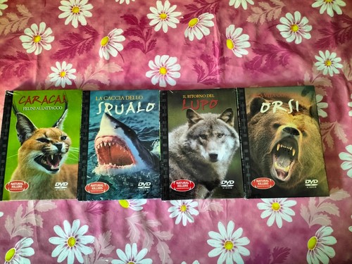 Lotto dvd natural - lotto,