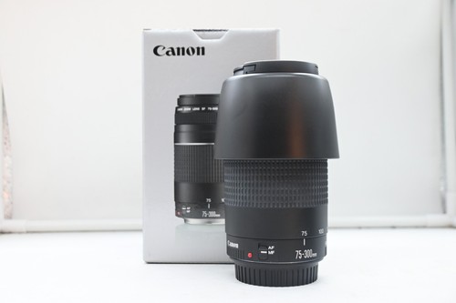 Canon 300mm 5 6 iii - 75-300mm,