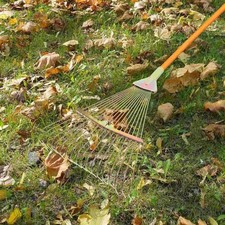 Rake Head che raccoglie le