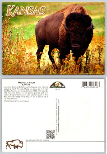 Cartolina fotografica kansas - cartolina,