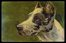 cartolina d'epoca-post