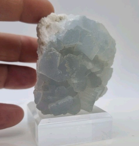 Minerali celestina azzurra - minerali◇celestina,