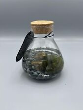 Ampolla con Marimo, Alga palla