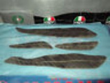 SERIE TAPPETINI USATI