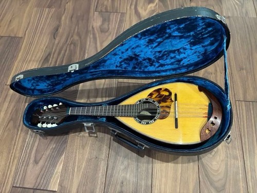 Mandolino italiano calace - calace, 1973