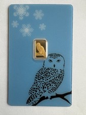 Snow owl gufo - owl, nevi