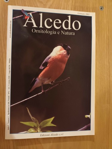 Raccolta alcedo ornitologia - raccolta ,