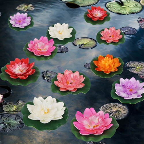 Pezzi fiore loto - fiore, di