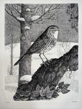 Enzo BELLINI  Acquaforte cm. 70x50 (cm. 32x24,5) Esemplare 31/100