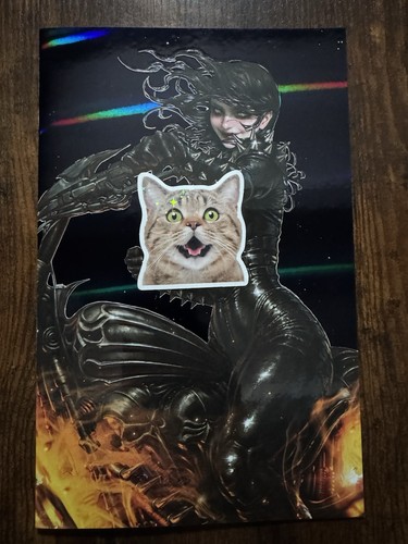 Lady ghost rider kyuyong - rider, eom