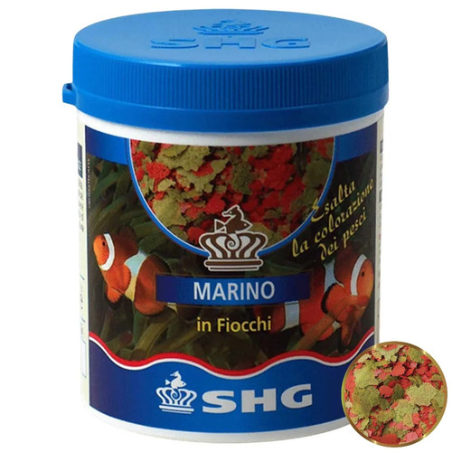 Shg marino fiocchi - fiocchi, –