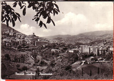 CARTOLINA  NOCERA UMBRA  B/N