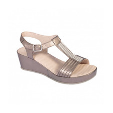 SCHOLL CATELYN DR. SCHOLL