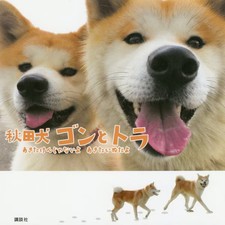 Akita Inu Gon Tora Hardcover
