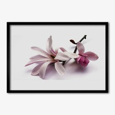 Arte da parete con cornice in