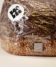 3L All in One substrato fungo sterile - grano biologico CVG growbags con porta vaccinale