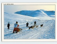 Cartolina Corsa di Cani da Slitta a La Molina Girona Spagna
