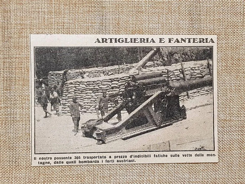 Cannone italiano 305 - cannone, nel