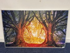 Pannello riscaldante infrarossi 600W - 100x60cm - NO TERMOSTATO - cornice argento