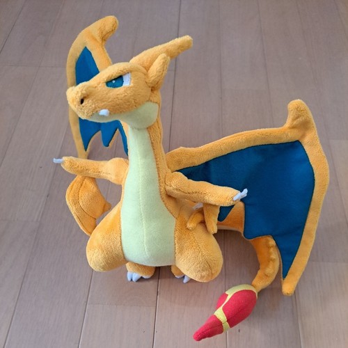 Pokemon center charizard - pokemon,