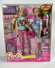 Barbie Life in The Dream House