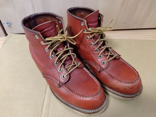 Redwing uomo 3378 setter - 3378,