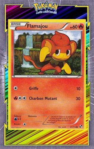Flamajou noir et blanc - flamajou,
