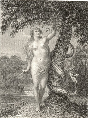 Francesco bartolozzi - francesco,