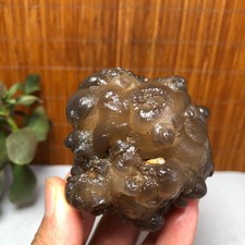 Bonsai di Suiseki-Pietra