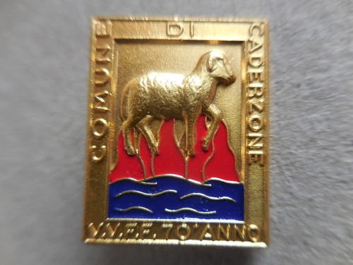 Distintivo spilla - , 70°