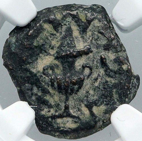 Autentica antica guerra - antica,