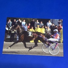 ANACT ASSOCIAZIONE ALLEVATORI CAVALLO TROTTATORE CARTOLINA VINTAGE