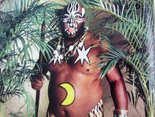 WWF WRESTLING FROM