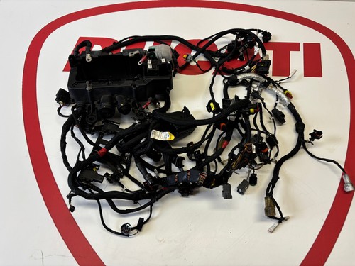 Telaio cablaggio motore ducati - motore,