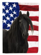 Gypsy Vanner Black American