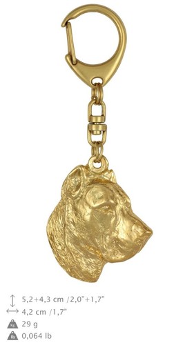 Art dog dogo canario - art,