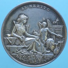 TORINO MEDAGLIA 1884