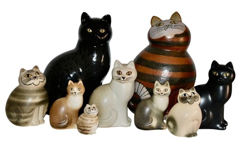 Raro gatto grigio - un,