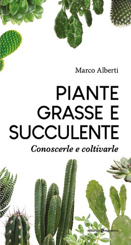 Piante grasse succulente - piante,