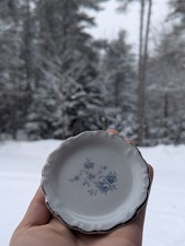 Vintage Johann Haviland