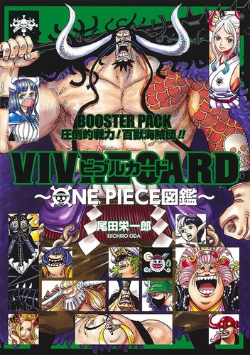 Vivre card one piece - ~, libro
