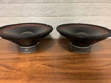 Coppia Woofer GBC WF-250 PA da 250 Watt 8ohm- da 25,5 cm 