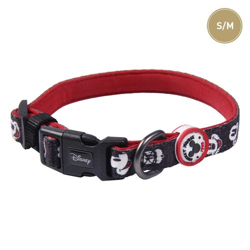 Collare premium per cani - collare,