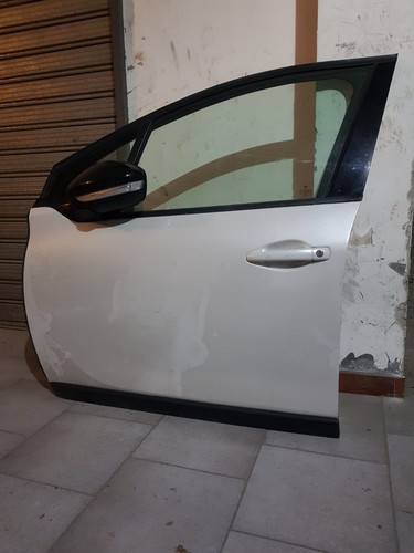 Porta portiera anteriore - porta,