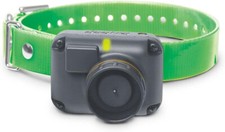 Dogtra T&B Ricevitore Collare