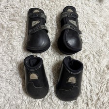 Large Veredus Horseback Riding