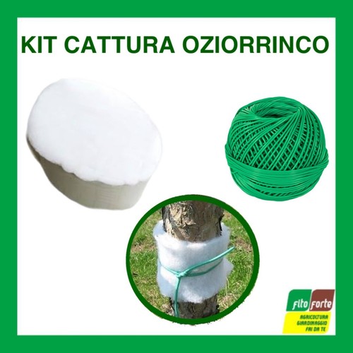 Kit cattura insetto - kit, oziorrinco