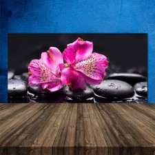 120x60 Paraschizzi in Vetro