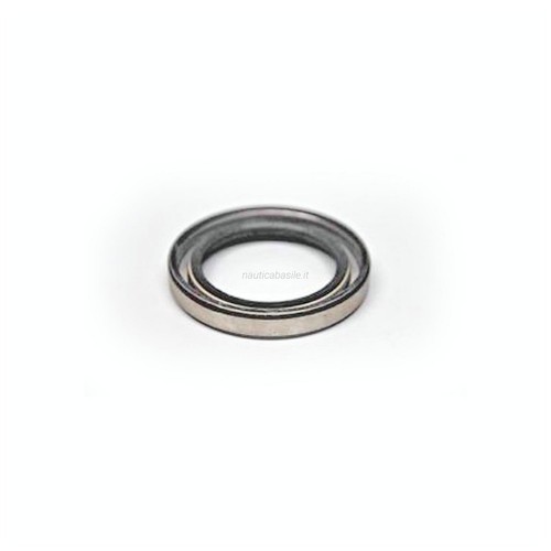 Paraolio piede evinrude - piede,