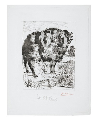 Pablo picasso belier from - -, le